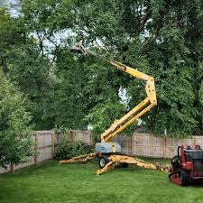 Best Leaf Removal  in Saratoga, CA