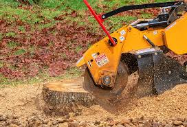 Best Tree Fertilization  in Saratoga, CA